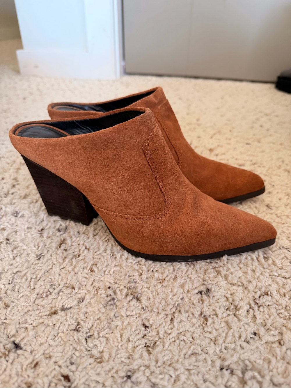 Donald J. Pliner Pointed Suede Mule in Rust